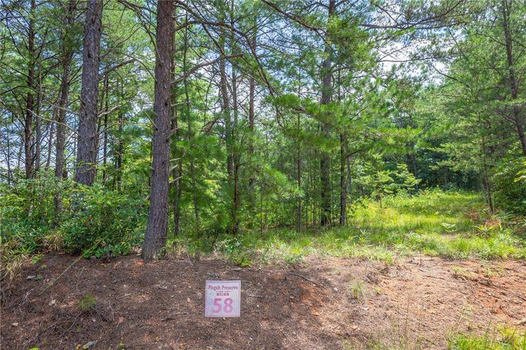 Nebo, NC 28761,9533 Shortoff View TER #Lot# 58