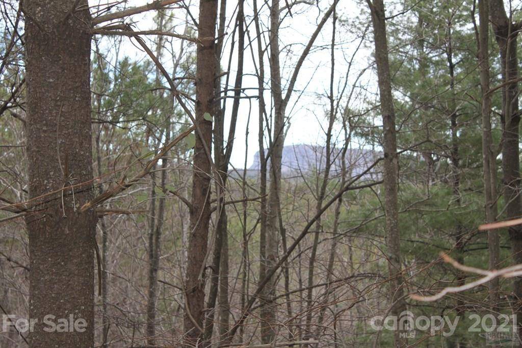 Nebo, NC 28761,Lot 6 Pisgah Preserve DR