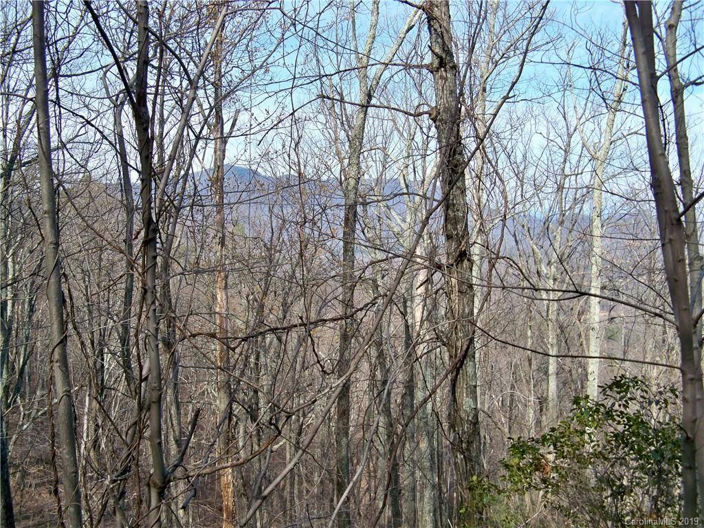 Tryon, NC 28782,00 Hogback Mountain RD #Lot #66