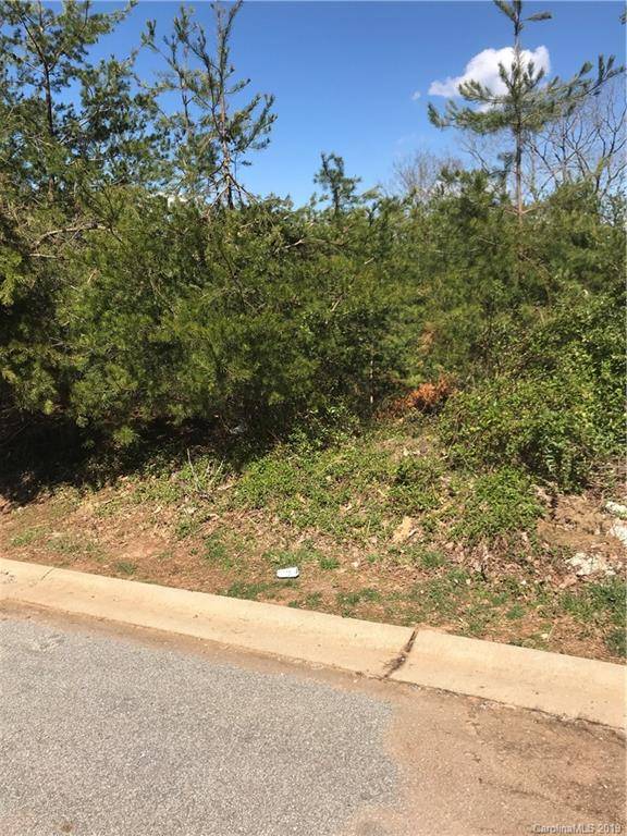 Asheville, NC 28804,18 Moss Pink PL #80
