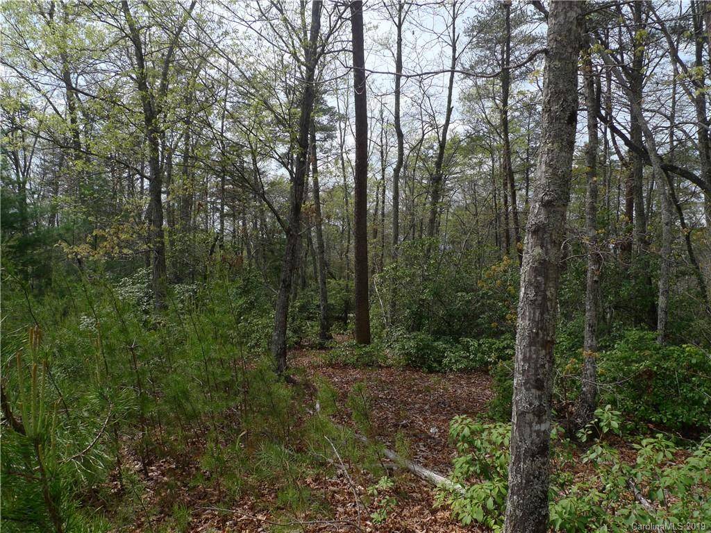 Nebo, NC 28761,524 High Trail DR #17-11