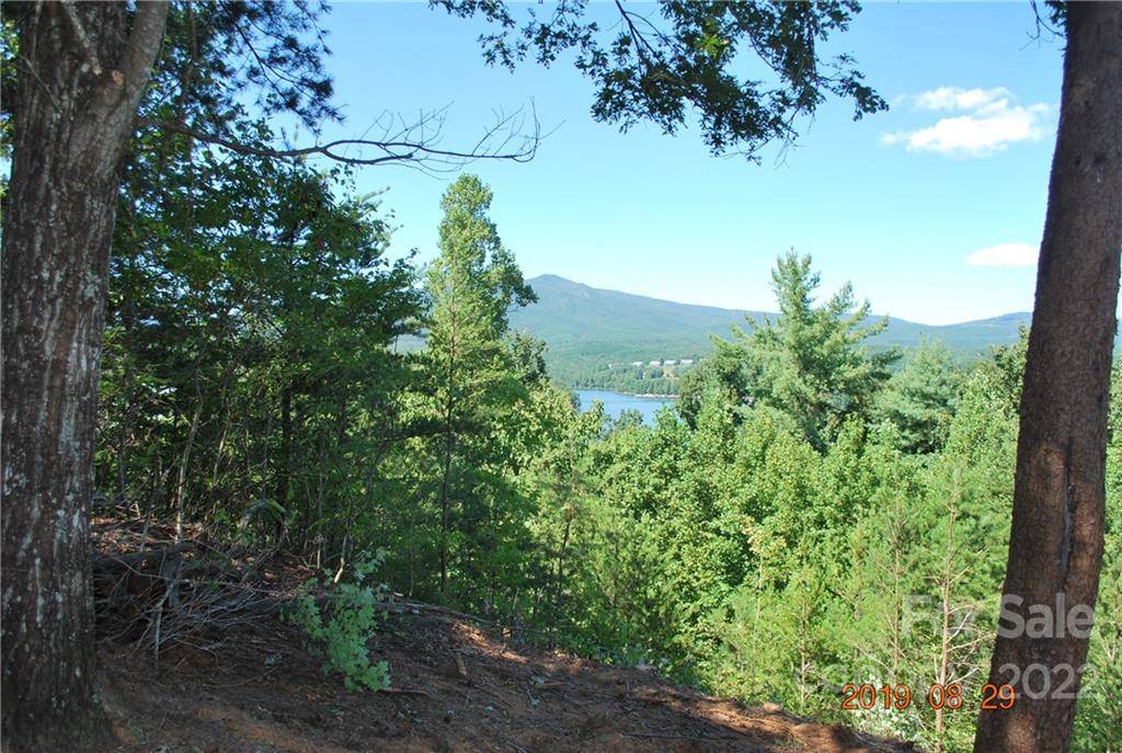 Nebo, NC 28761,675 Harborside DR #238 & 238A