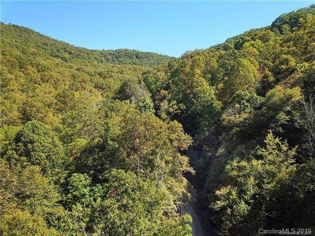 Weaverville, NC 28787,315 Gentian TRL #Lot 3