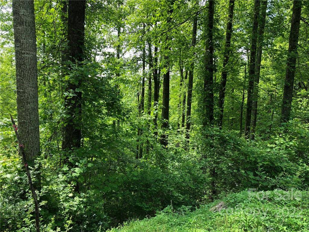 Hendersonville, NC 28792,Lot #35 Laurel Creek DR