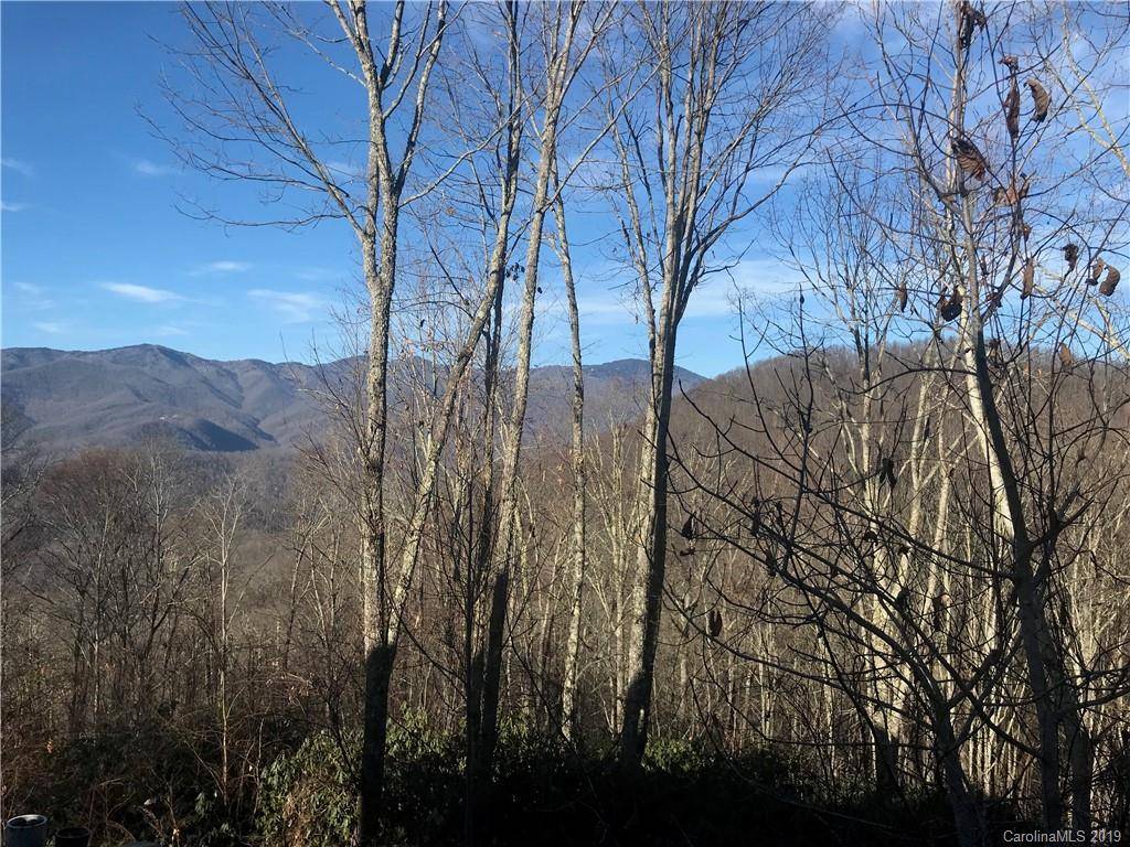 Sylva, NC 28779,0137 East Reach RD #137