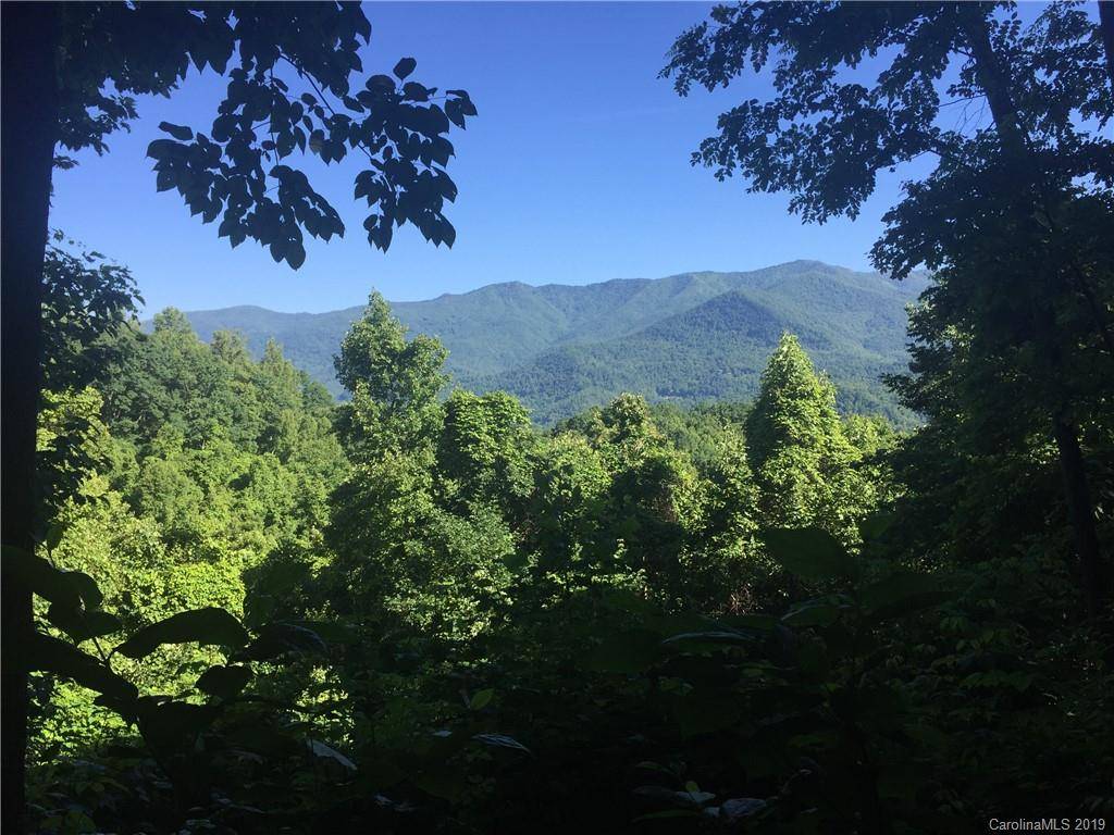 Sylva, NC 28779,0029 High Line RD #29