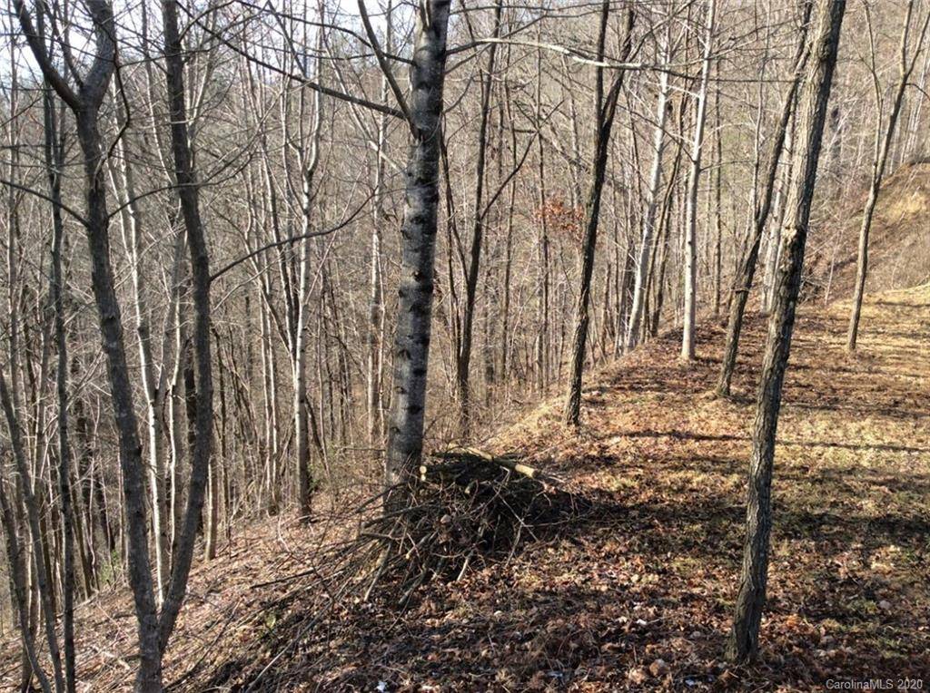 Bryson City, NC 28713,Lot #10 Ridge PL