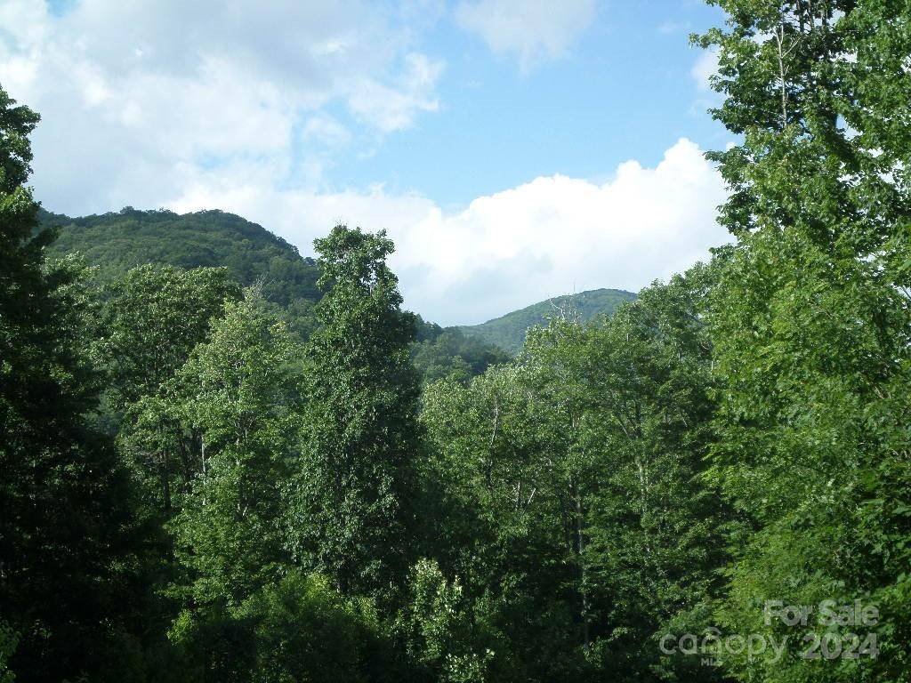 Maggie Valley, NC 28751,100 Tenderfoot TRL #100 & 101