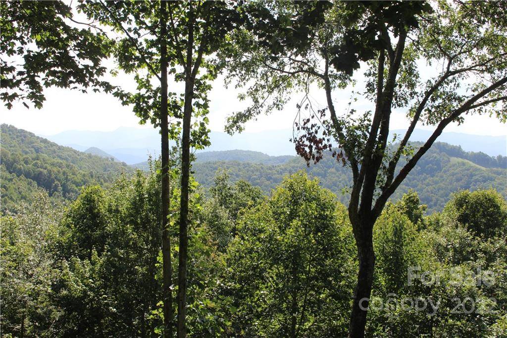 Sylva, NC 28779,64 High Line RD #64