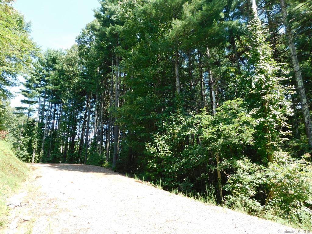 Sylva, NC 28779,00 Forest Rose LN #9