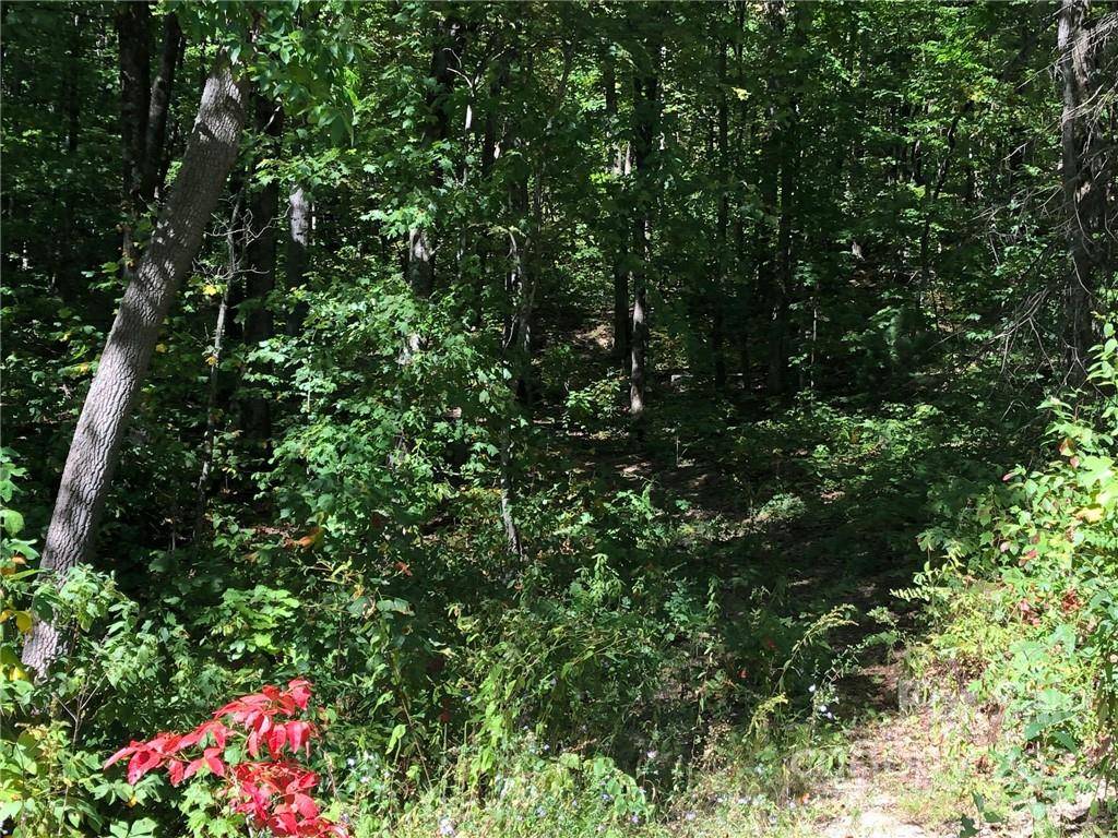 Hendersonville, NC 28792,Lot #69 and 69A Marshall Ridge RD