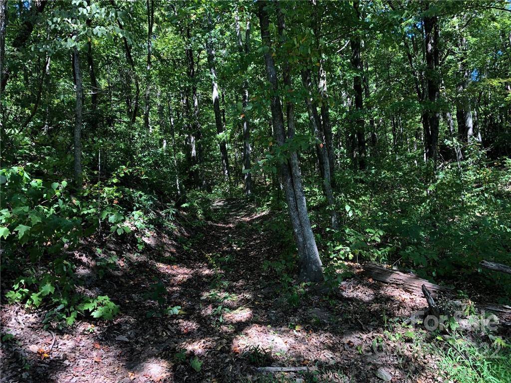 Hendersonville, NC 28792,Lot #72 Marshall Ridge RD