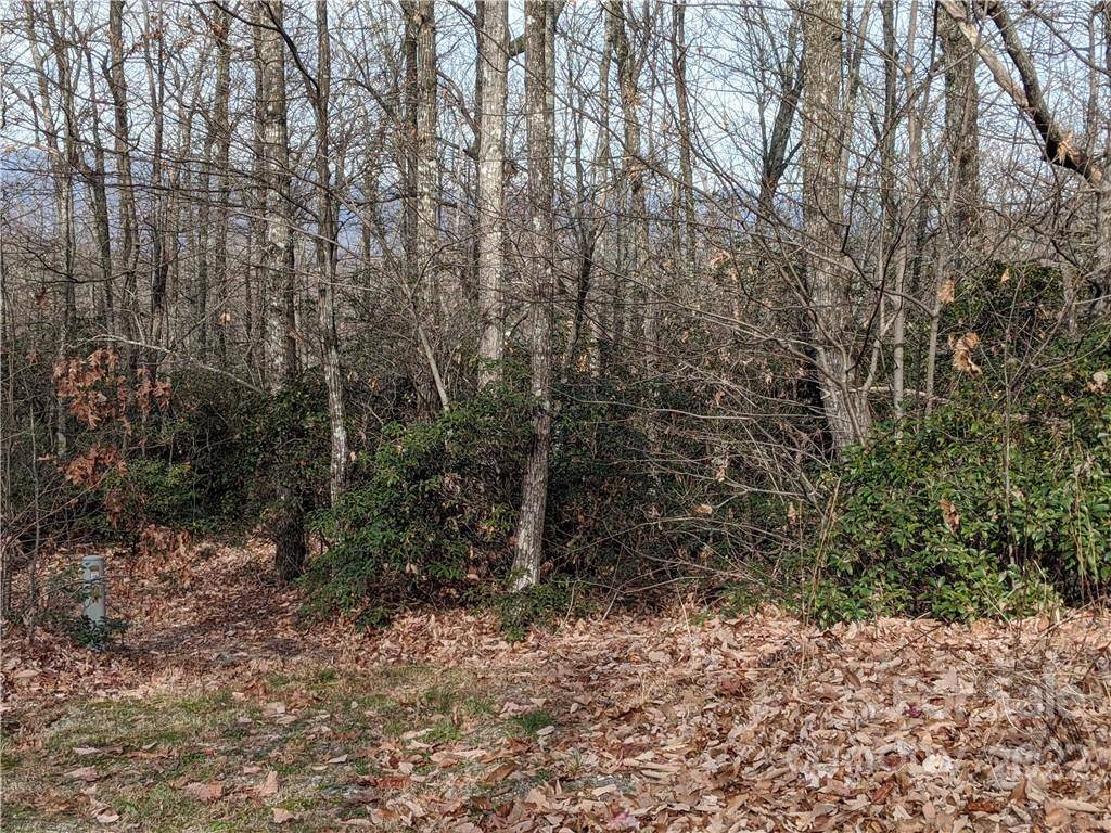 Black Mountain, NC 28711,Lot 13 Rolling Ridge TRL #13