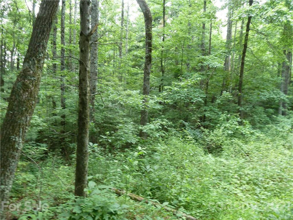 Zirconia, NC 28790,3 N Pointe DR #3