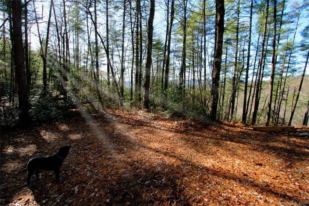 Rosman, NC 28712,TBD Bear Pen Hollow RD #5