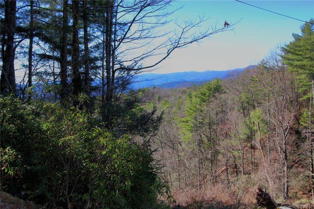 Rosman, NC 28712,TBD Bear Pen Hollow RD #5