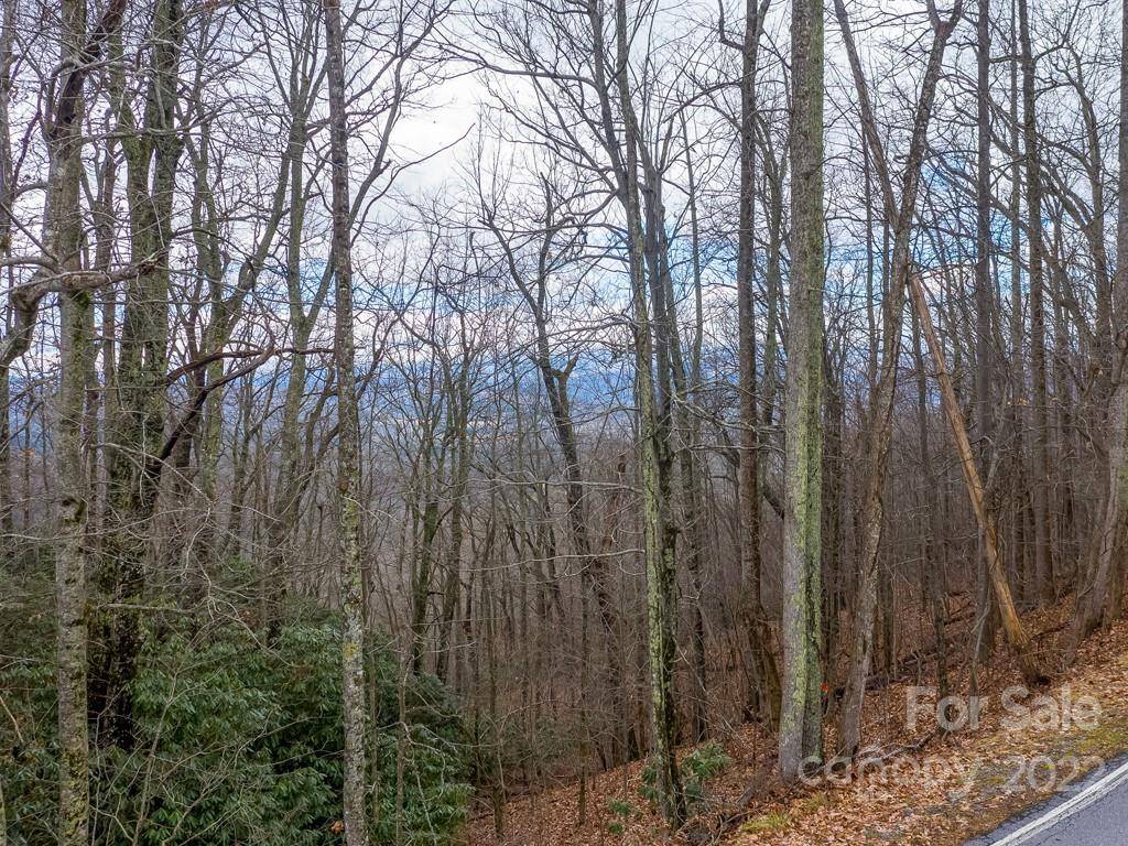 Hendersonville, NC 28739,0000 Laurel Park HWY