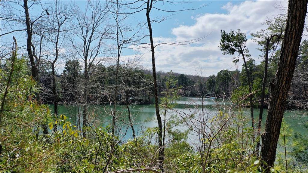 Mill Spring, NC 28756,LOT 41 Peninsula DR #41