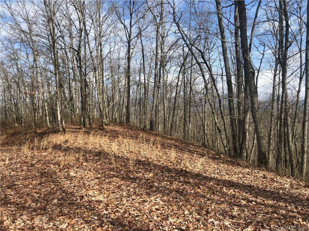 Bryson City, NC 27813,0000 Laurel Branch RD #29