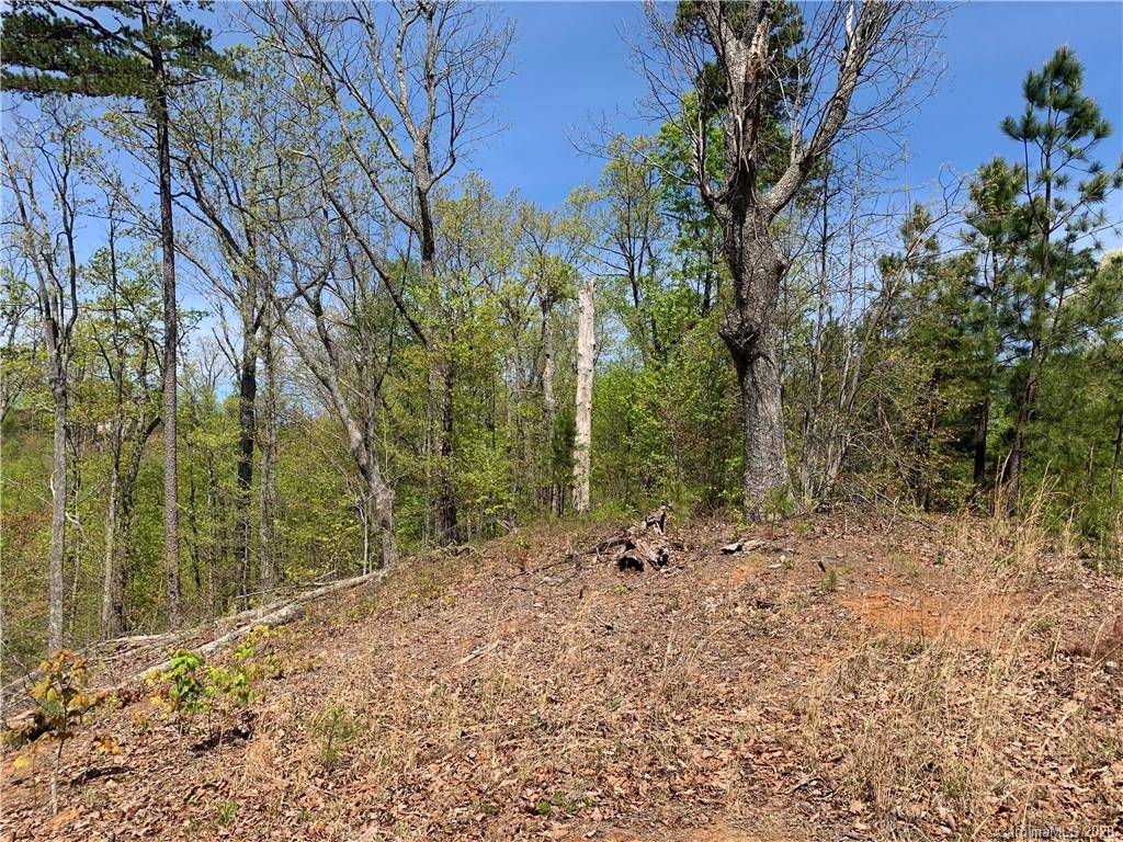 Nebo, NC 28761,Lot 45 Grandview Peaks None #45