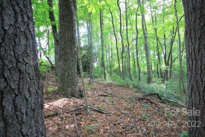 Lenoir, NC 28645,Lot 551 Autumn Ridge DR #551