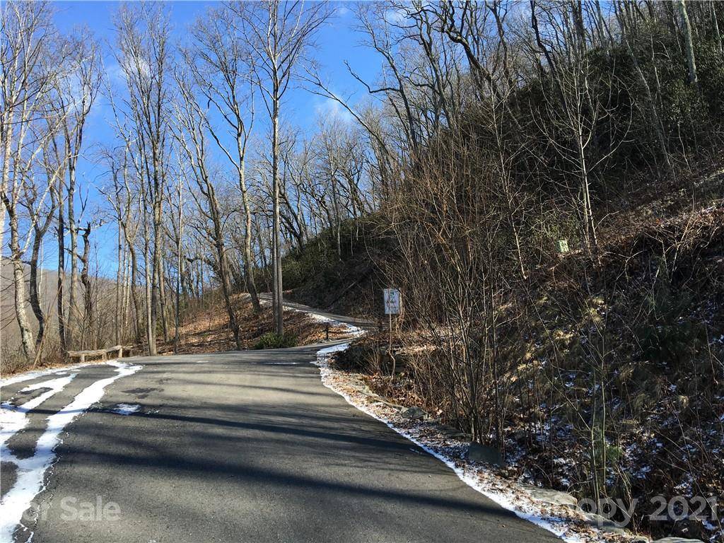 Asheville, NC 28803,57 Chesten Mountain DR #2 acres