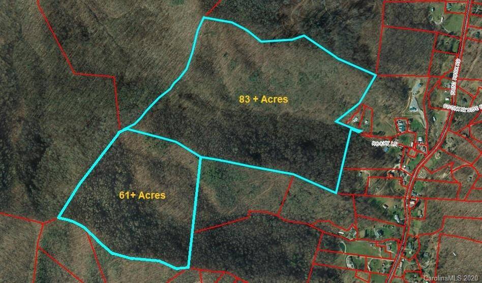 Barnardsville, NC 28709,145.34 Acres Paint Fork RD