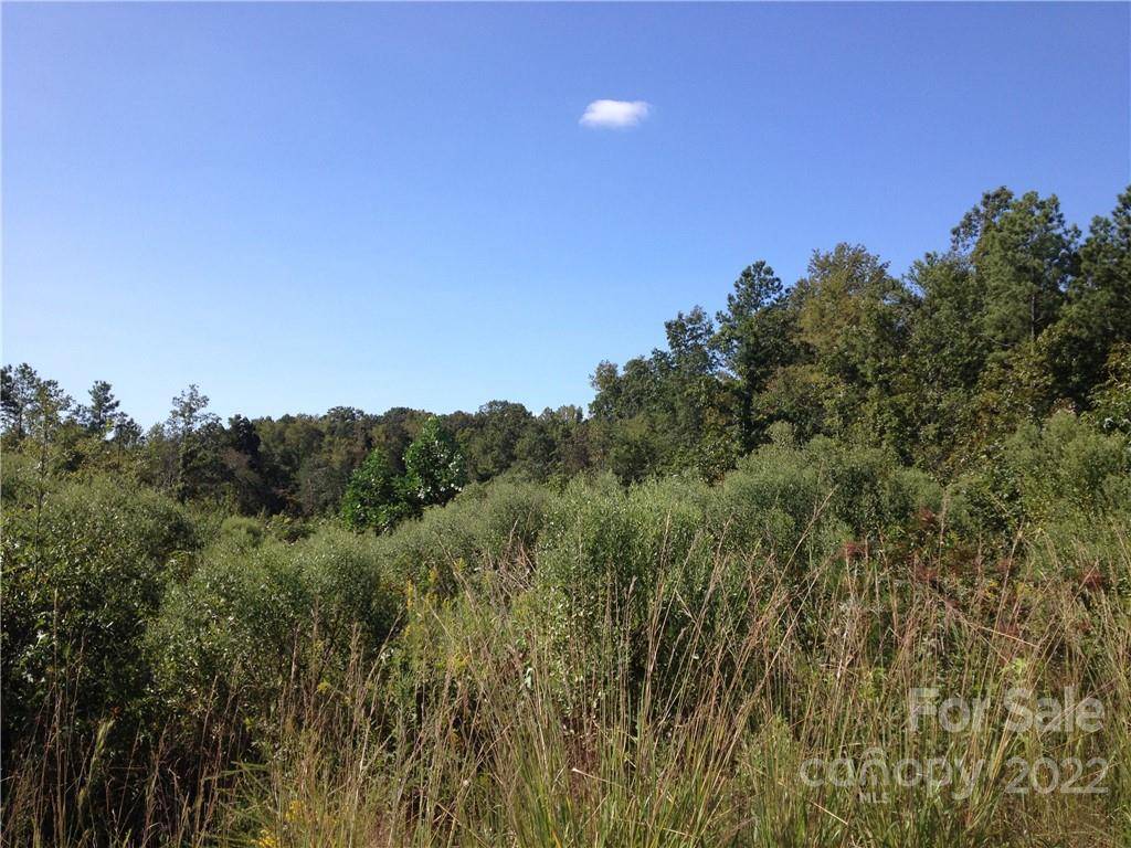 Lancaster, SC 29720,00 Logging RD