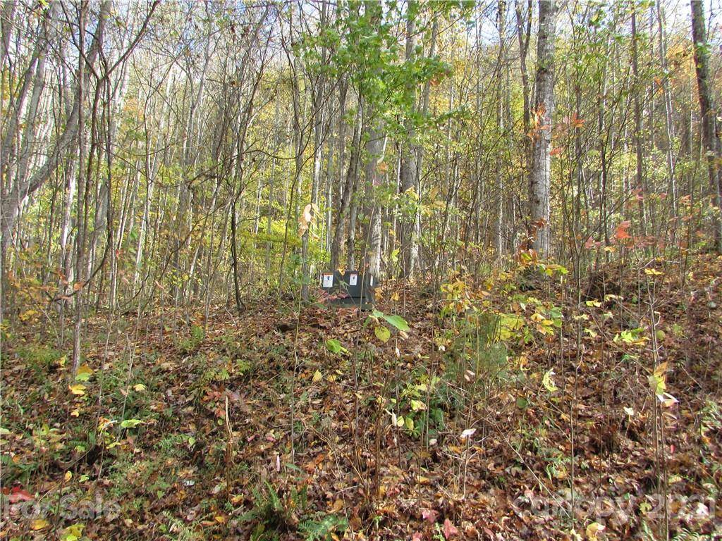 Mars Hill, NC 28754,E- 6 Red Wolf Run None