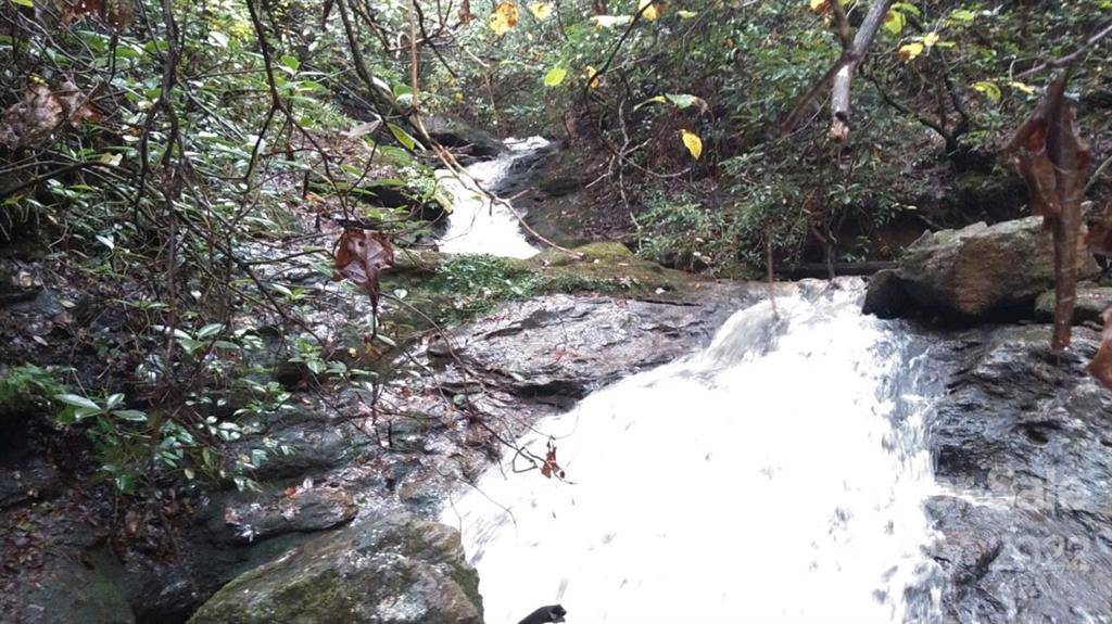 Rutherfordton, NC 28139,0 Hardin Store RD