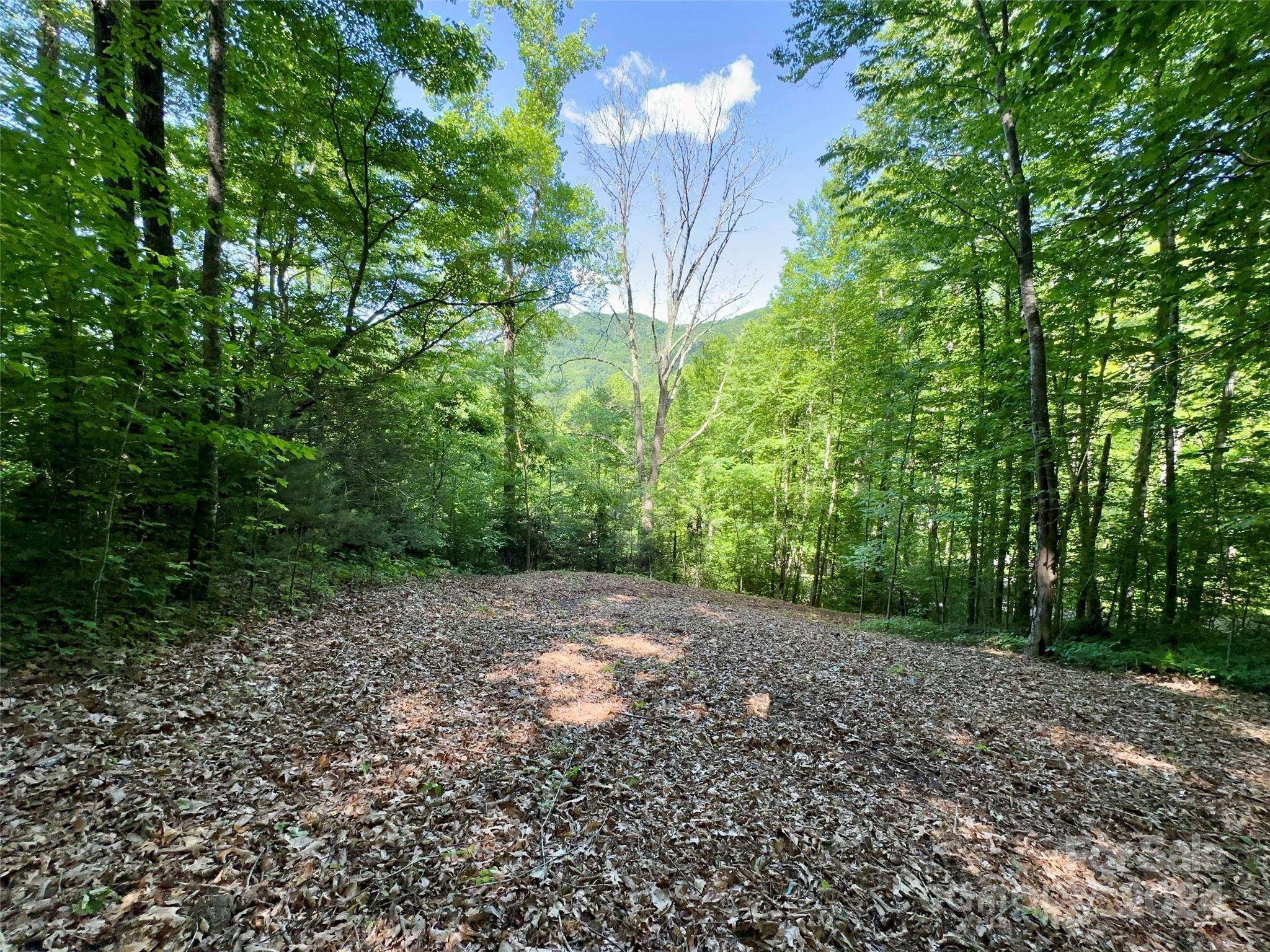 Maggie Valley, NC 28751,14 Trout Lily LN