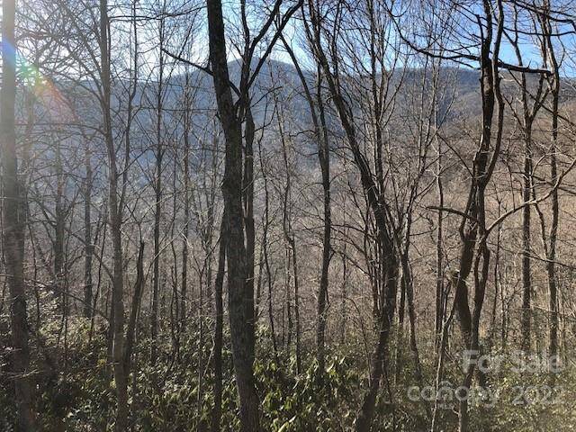 Black Mountain, NC 28711,99999 Winding Poplar RD #806