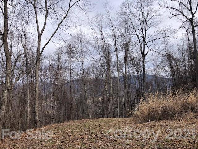 Barnardsville, NC 28709,68 Cove Springs DR #C