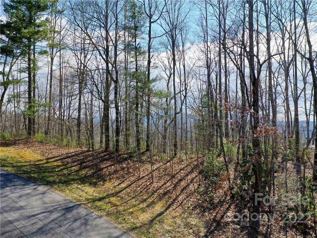 Hendersonville, NC 28739,168 Rambling TRL