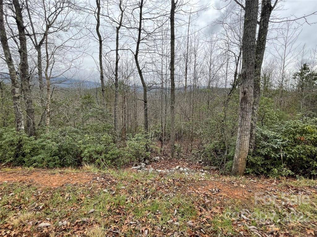 Nebo, NC 28761,368 Bear Cliff CIR #Lot #56