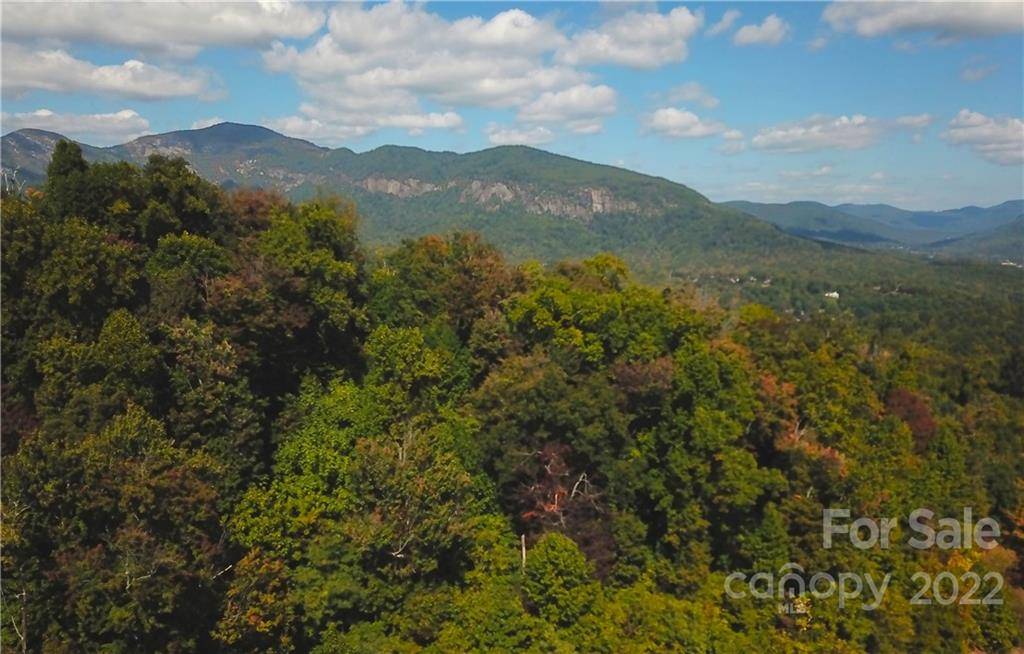 Lake Lure, NC 28746,53 Bear Cliff WAY #53