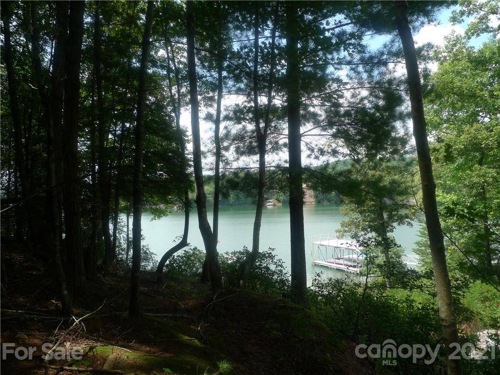 Nebo, NC 28761,436 Sunset Point Pkwy #39