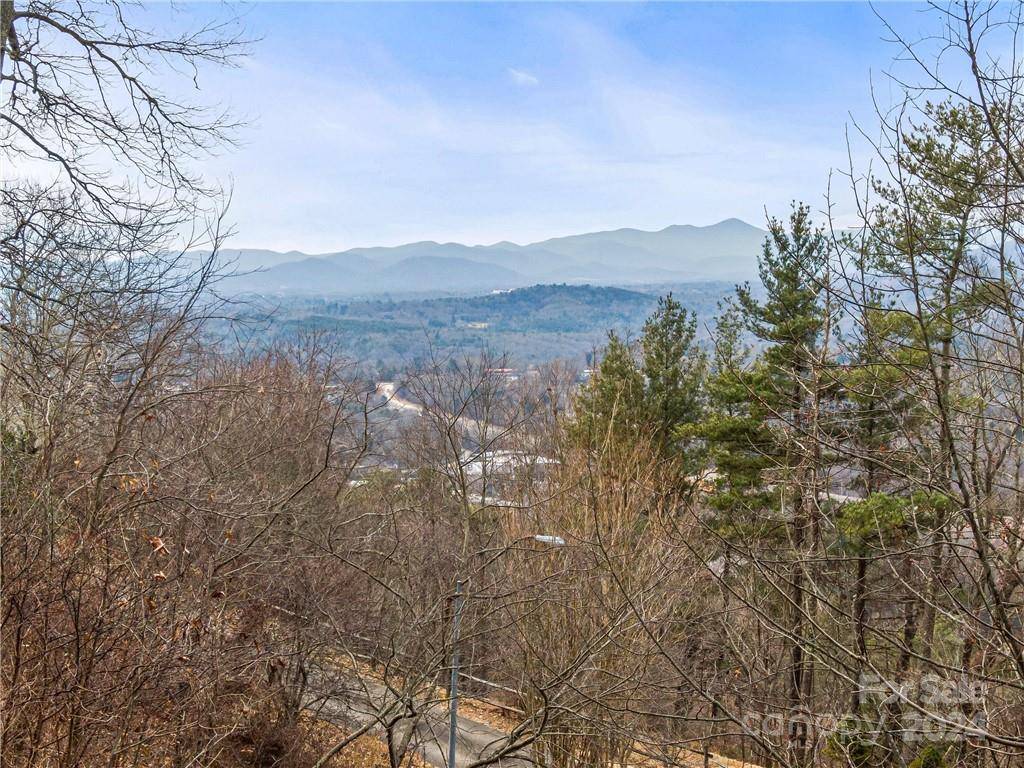 Asheville, NC 28804,9999 Secluded Forest DR