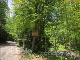 Hendersonville, NC 28792,000 Lazy Bear TRL #Lot #35