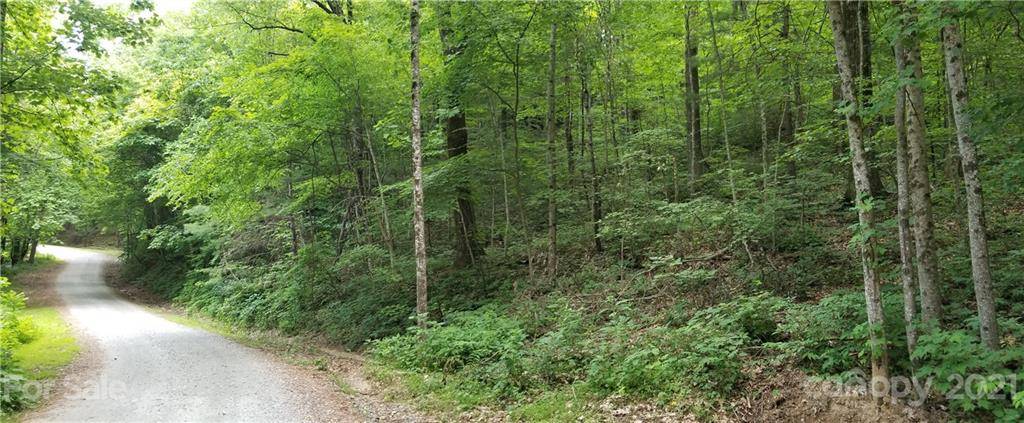 Tryon, NC 28782,Lot 341 Melrose Mountain RD