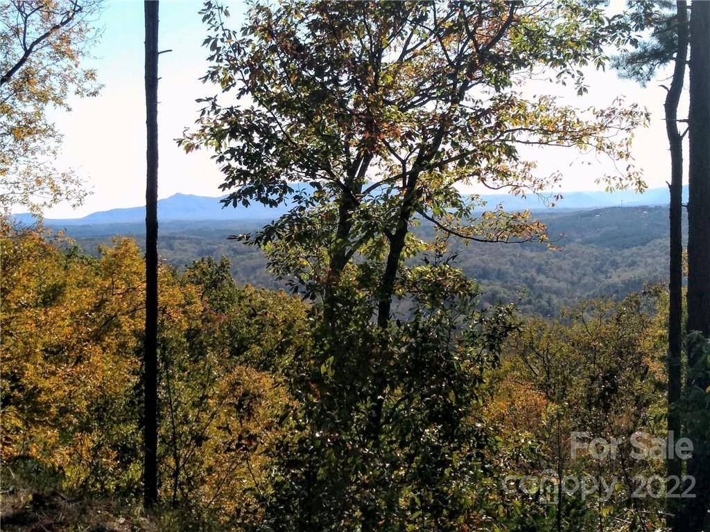 Lake Lure, NC 28746,LOT 207 Golden Ridge DR