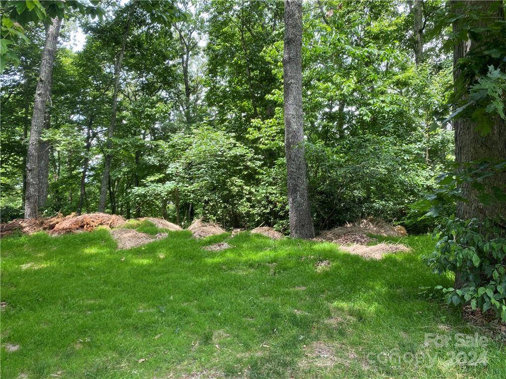 Burnsville, NC 28714,LOT 105 Smokehouse WAY #105