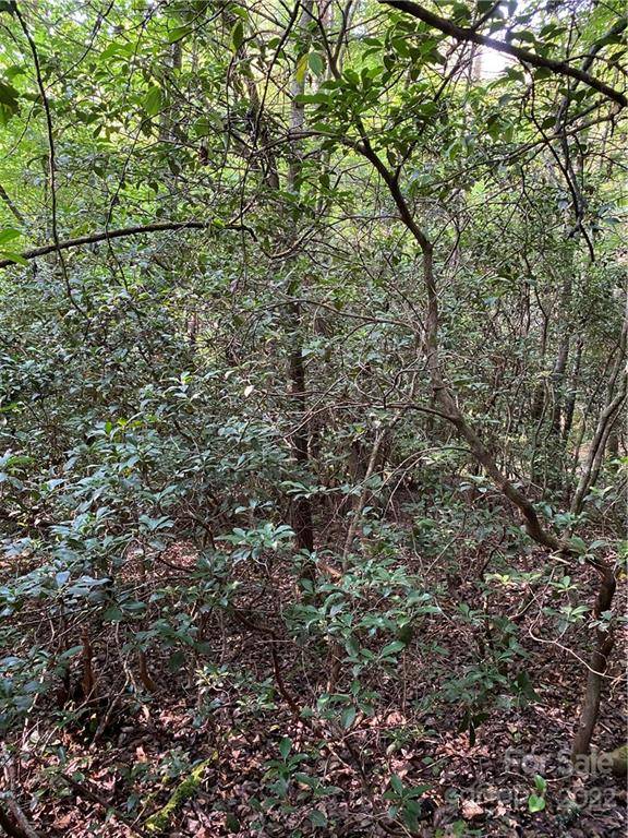 Brevard, NC 28712,U 9 Blueberry Hill RD #Unit 9