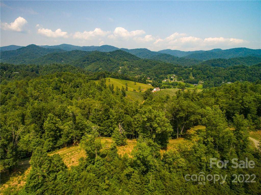 Marshall, NC 28753,Lot 22 The Vines BLVD #Lot 22