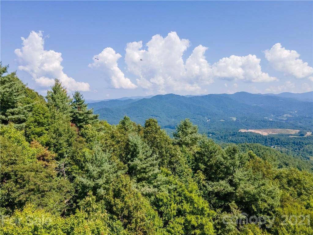 Waynesville, NC 28785,111 Digging Seng TRL