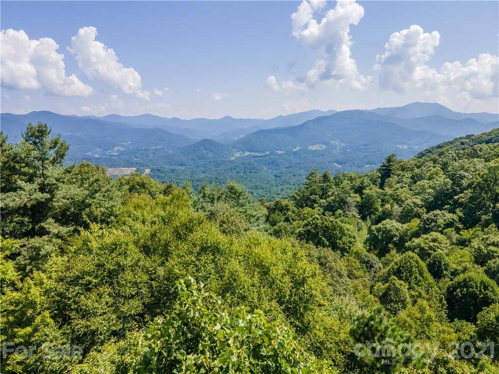 Waynesville, NC 28785,111 Digging Seng TRL
