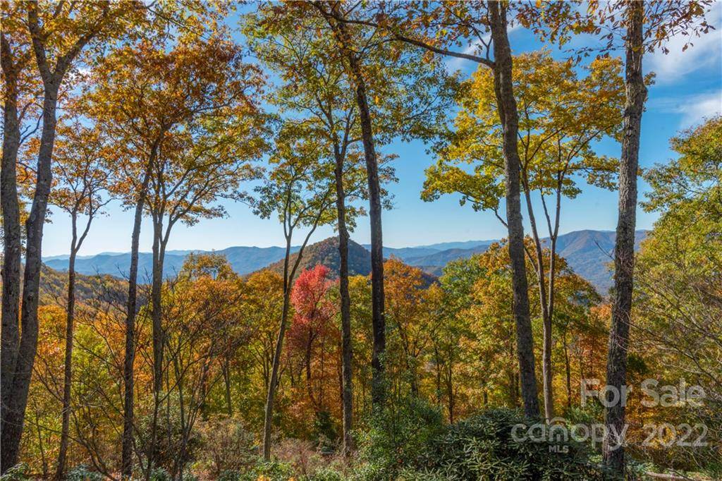 Sylva, NC 28779,379 Sweet Fern WAY