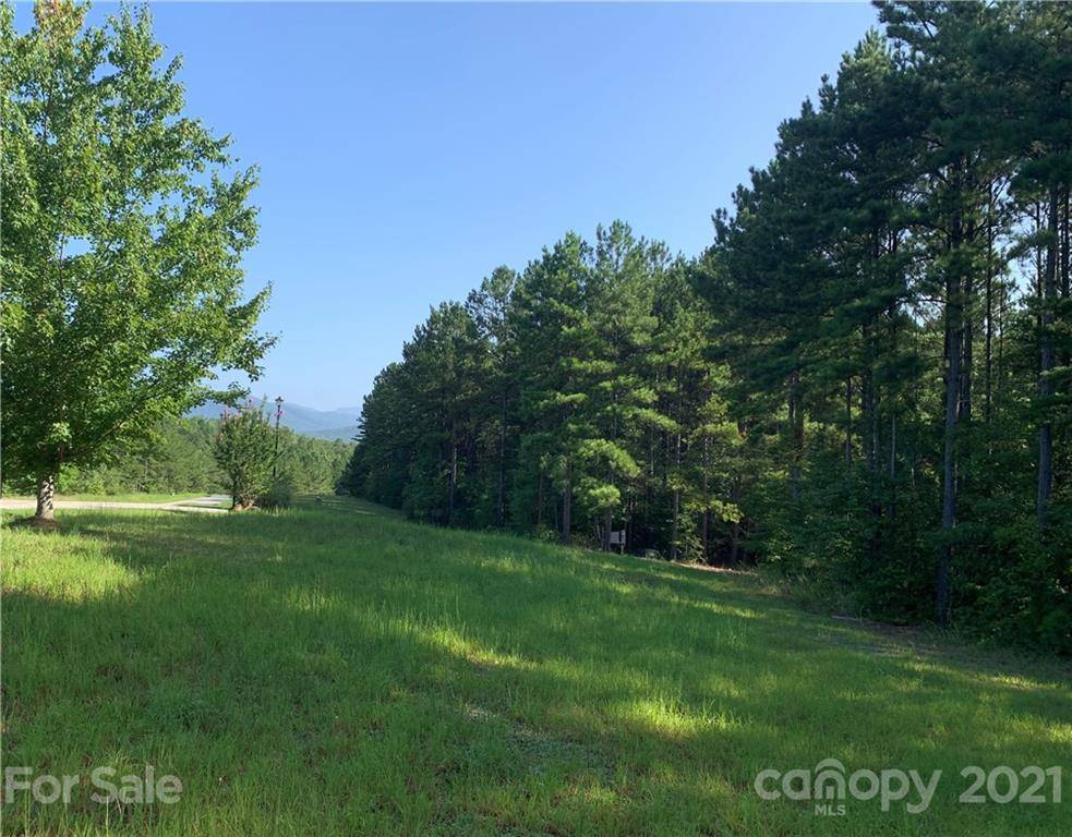 Lake Lure, NC 28746,TBD Spring HOLW #28