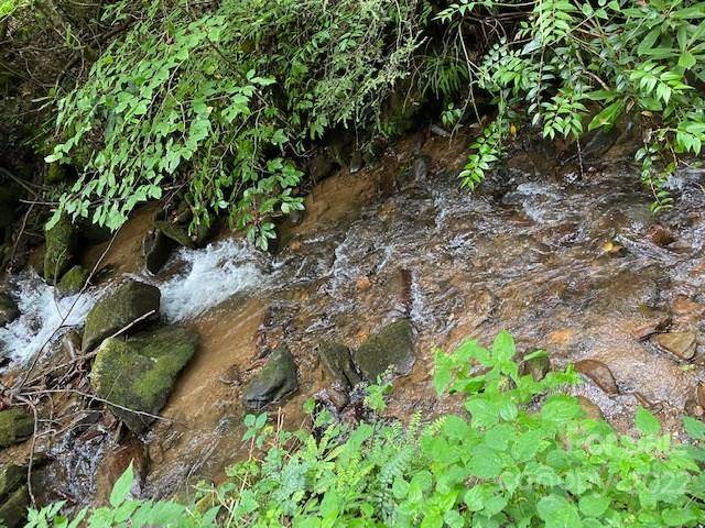 Sylva, NC 28779,Lot 3 Fiddle Fern LOOP