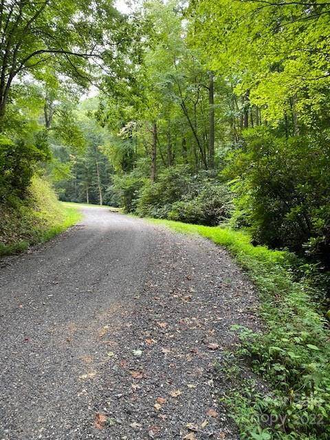 Sylva, NC 28779,Lot 3 Fiddle Fern LOOP